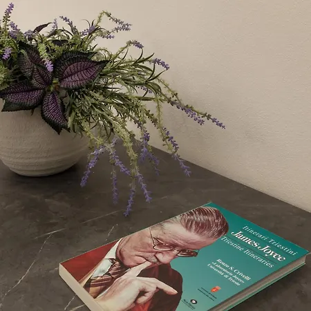 Διαμέρισμα San Nicolo Τεργέστη